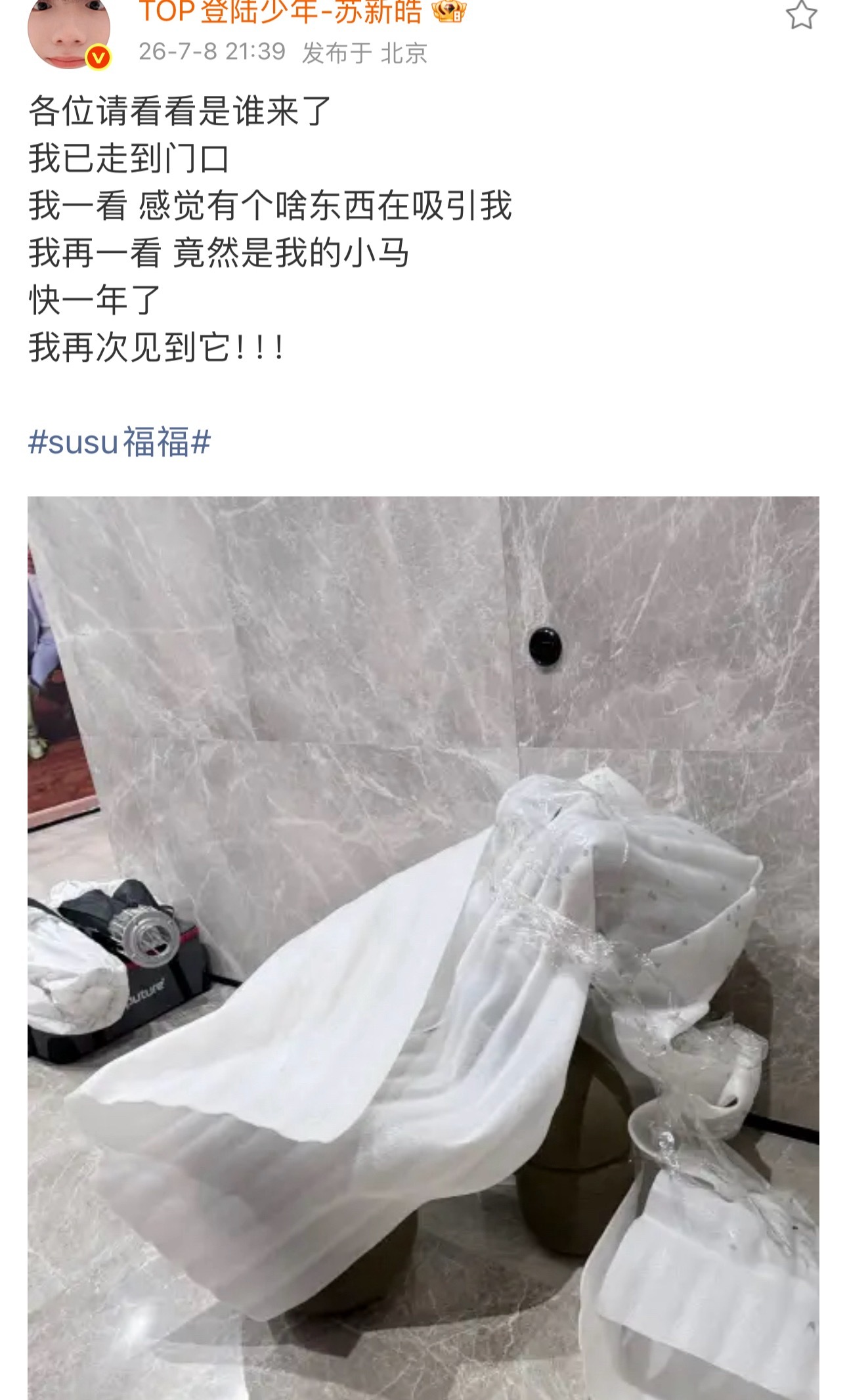 是你的小马！苏新皓
