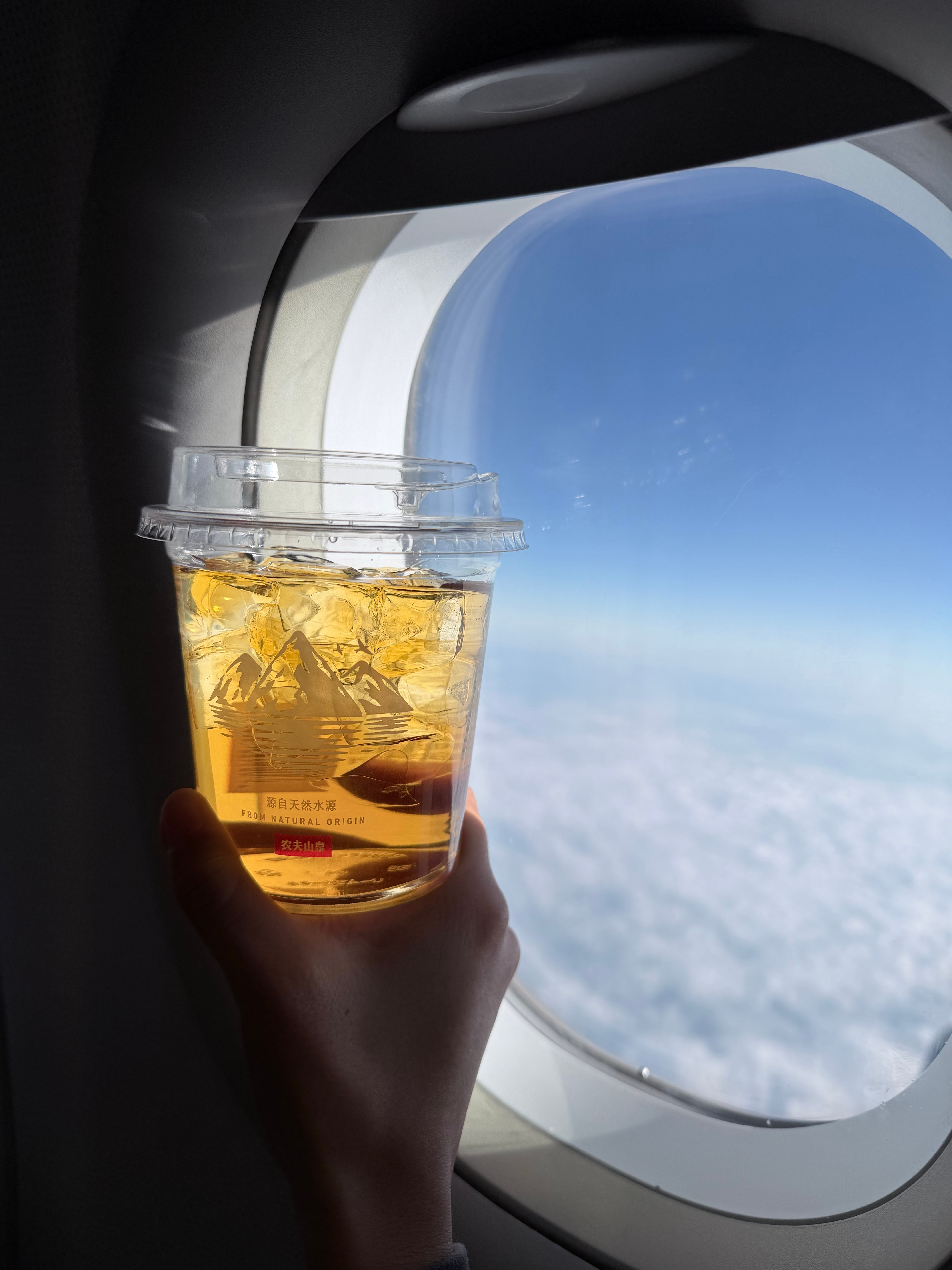 失策了，我在机场买了个冰杯，想着上飞机可以喝可乐！ 结果我坐的这架飞机，没有饮料