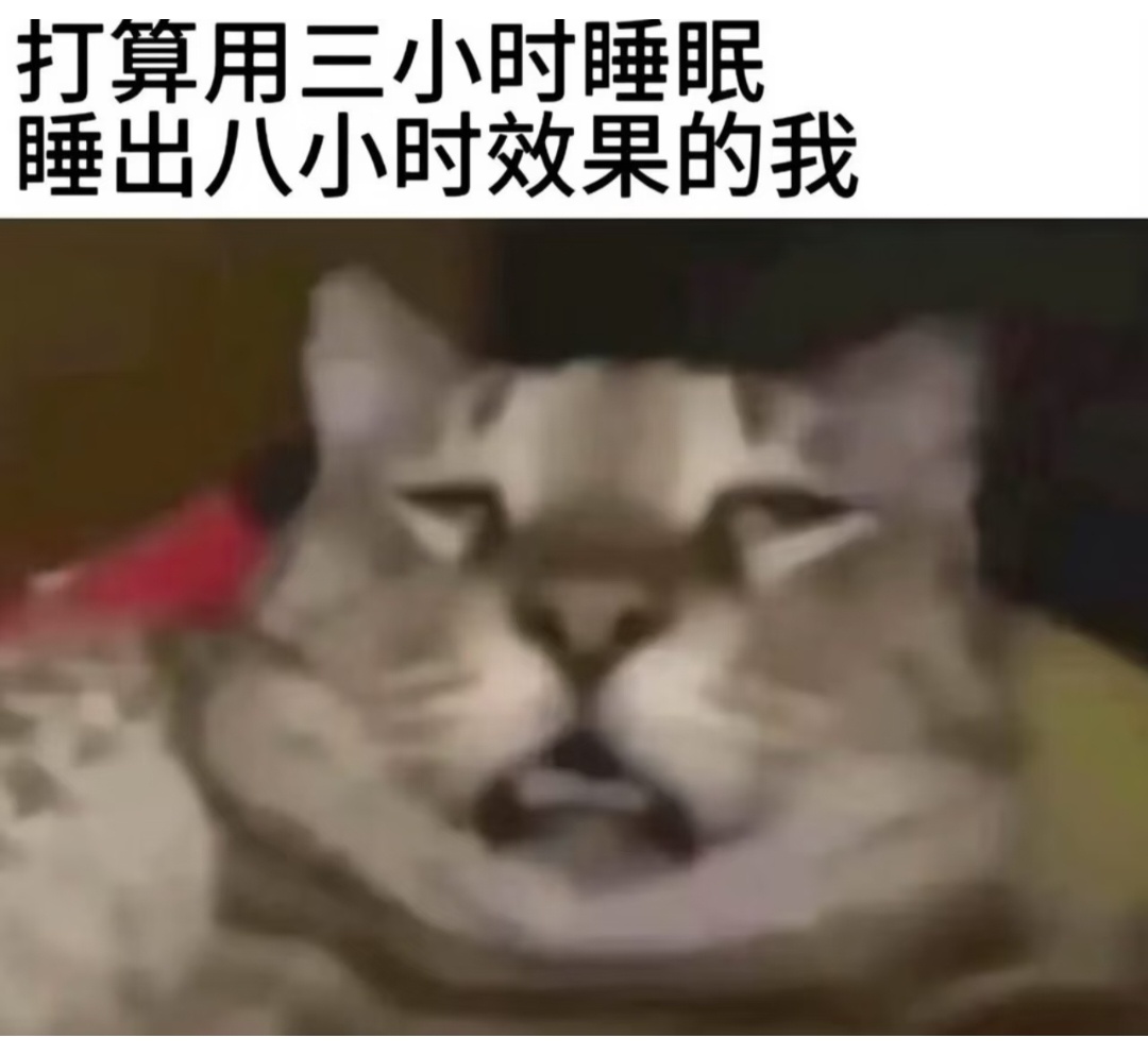 天呐这简直就是我 