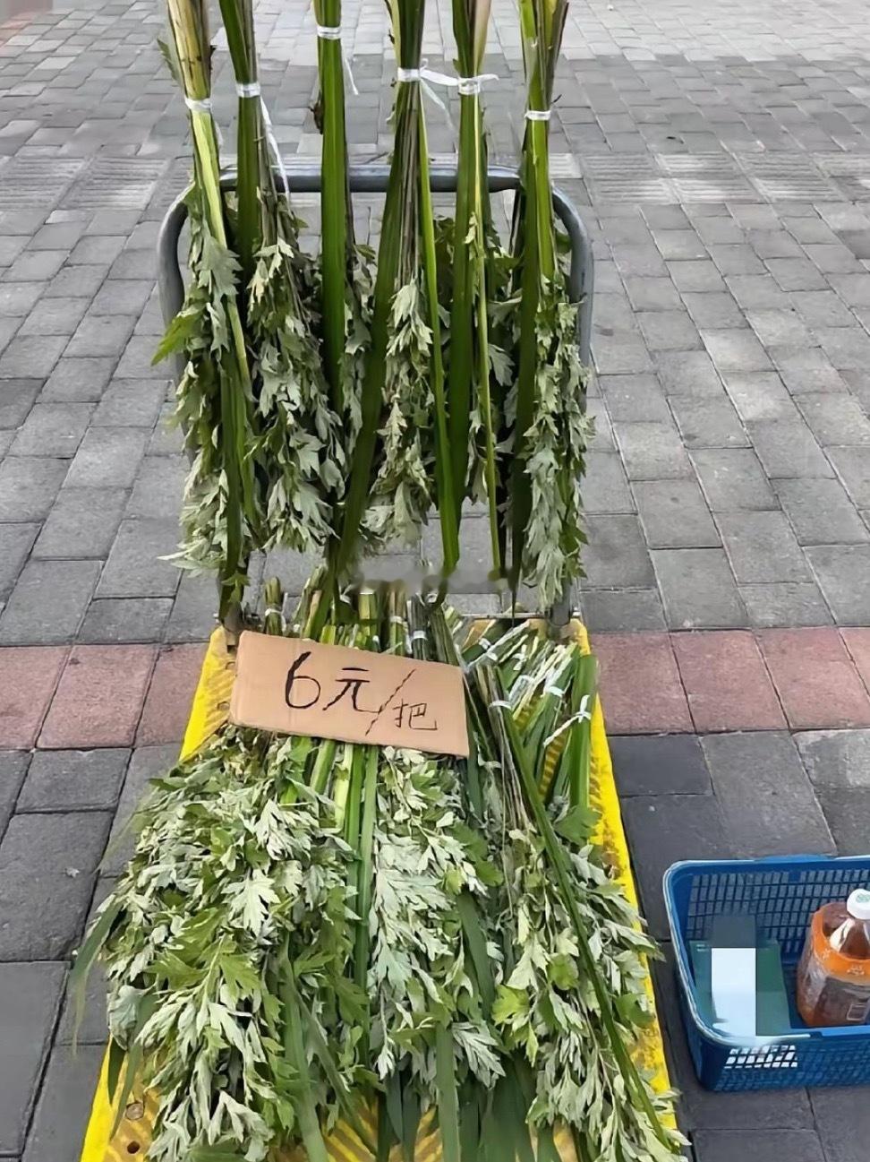 昨天在地里割了几株艾草！卖6块钱一株，为什么没人买呢 