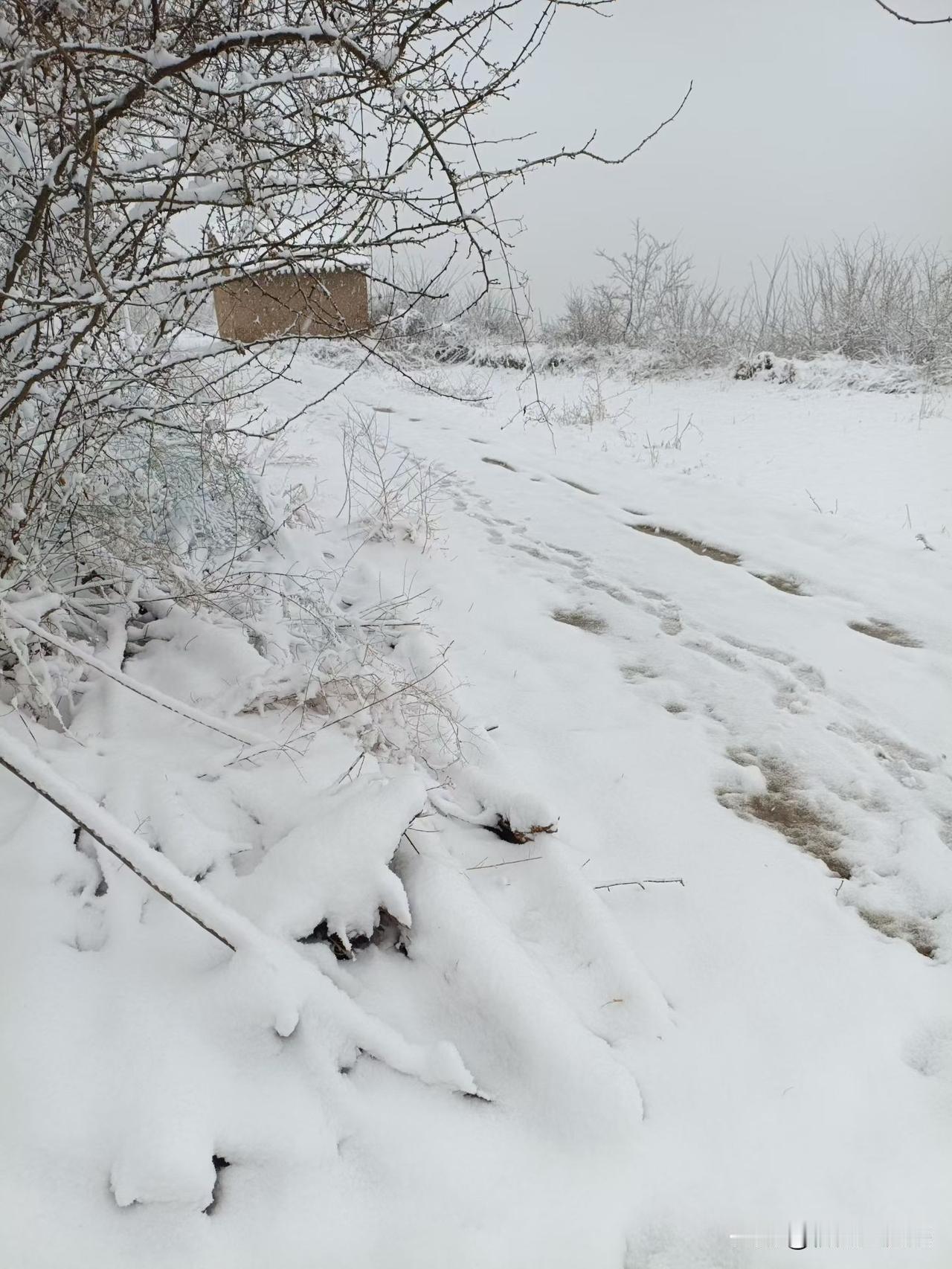 经常安慰自己的一句话是什么不管遇上什么困难，日子还得过，做内向型的人。