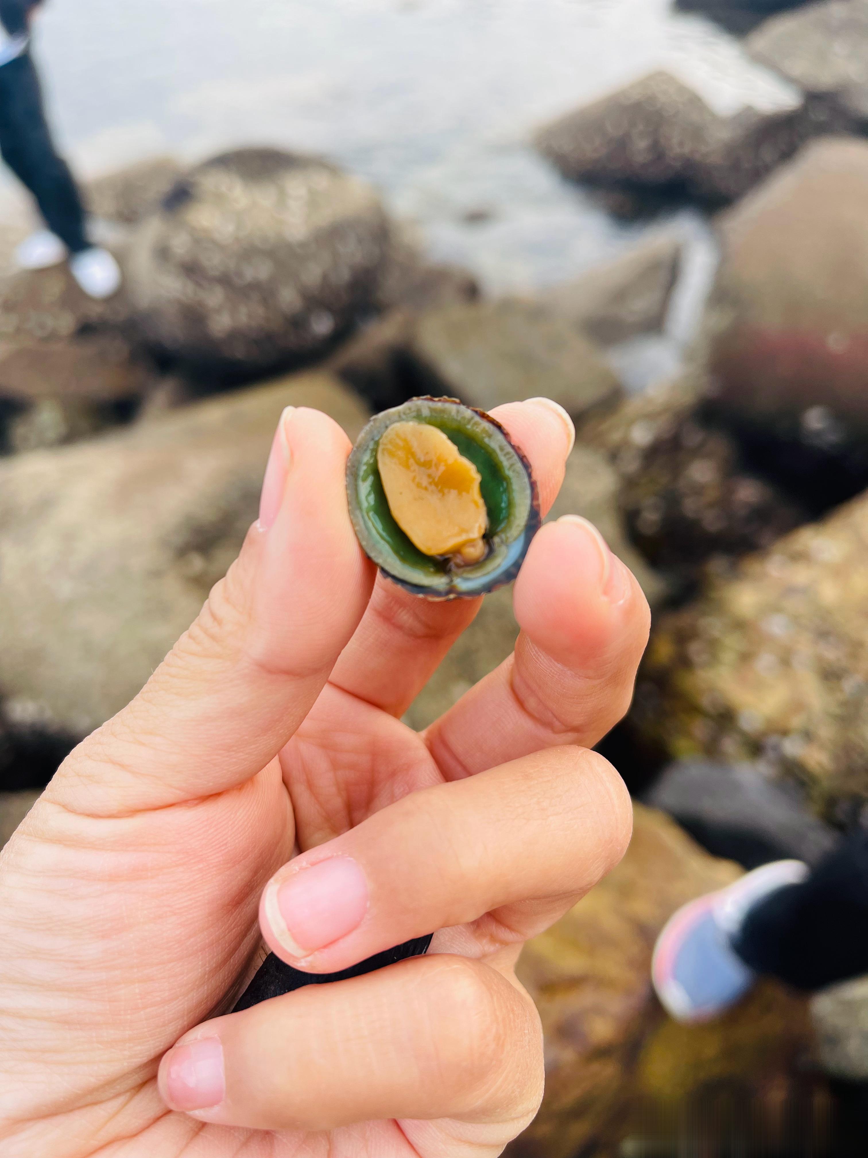 又来海边，大的大小的小，真是太有意思了，小朋友们说明天继续[哈哈][哈哈][哈哈