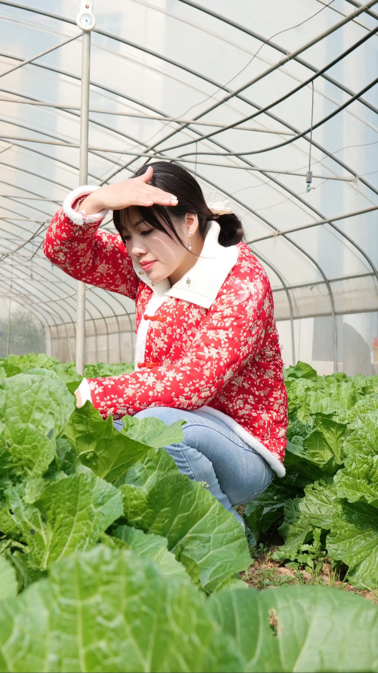 我的农村生活 农村生活 我的乡村生活 记录农村生活 倩莲儿