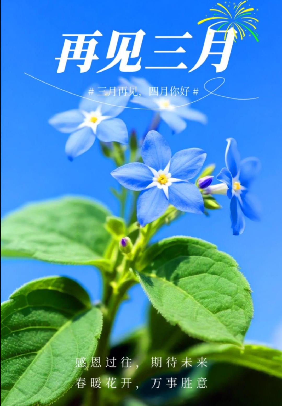 🙋三月的故事落幕，四月的序章开启。在这春暖花开时节正大好，愿你以饱满的热情，眉