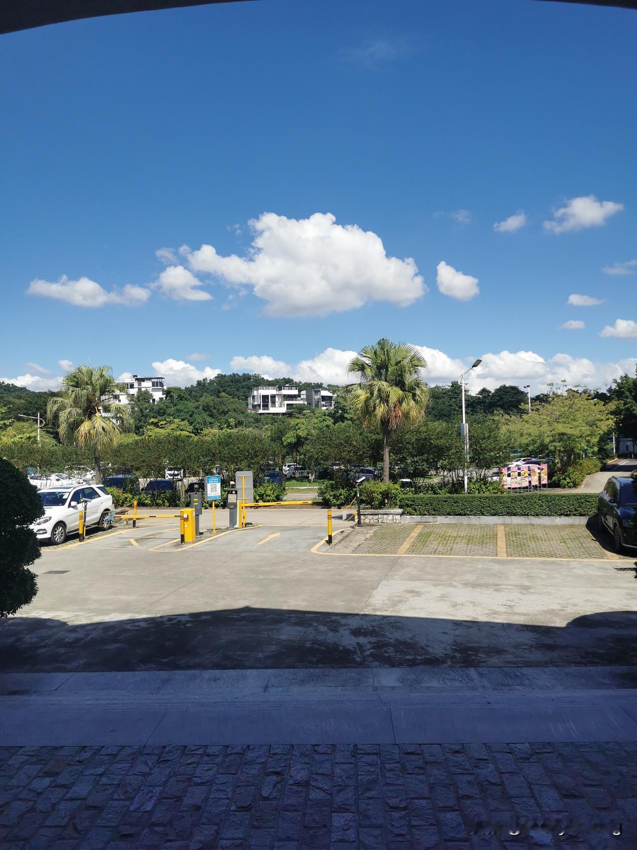 今年冬天的不同