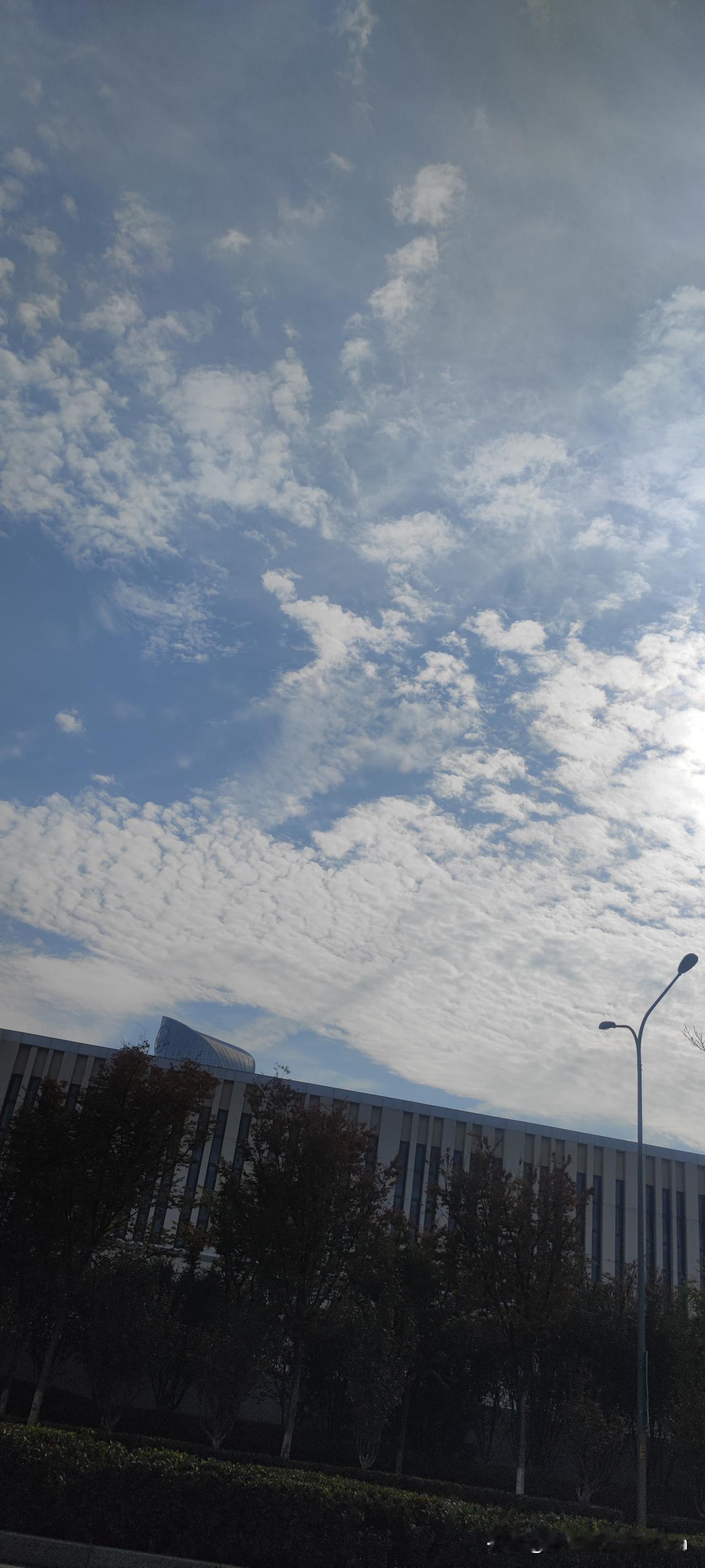 今天我大济南的云彩