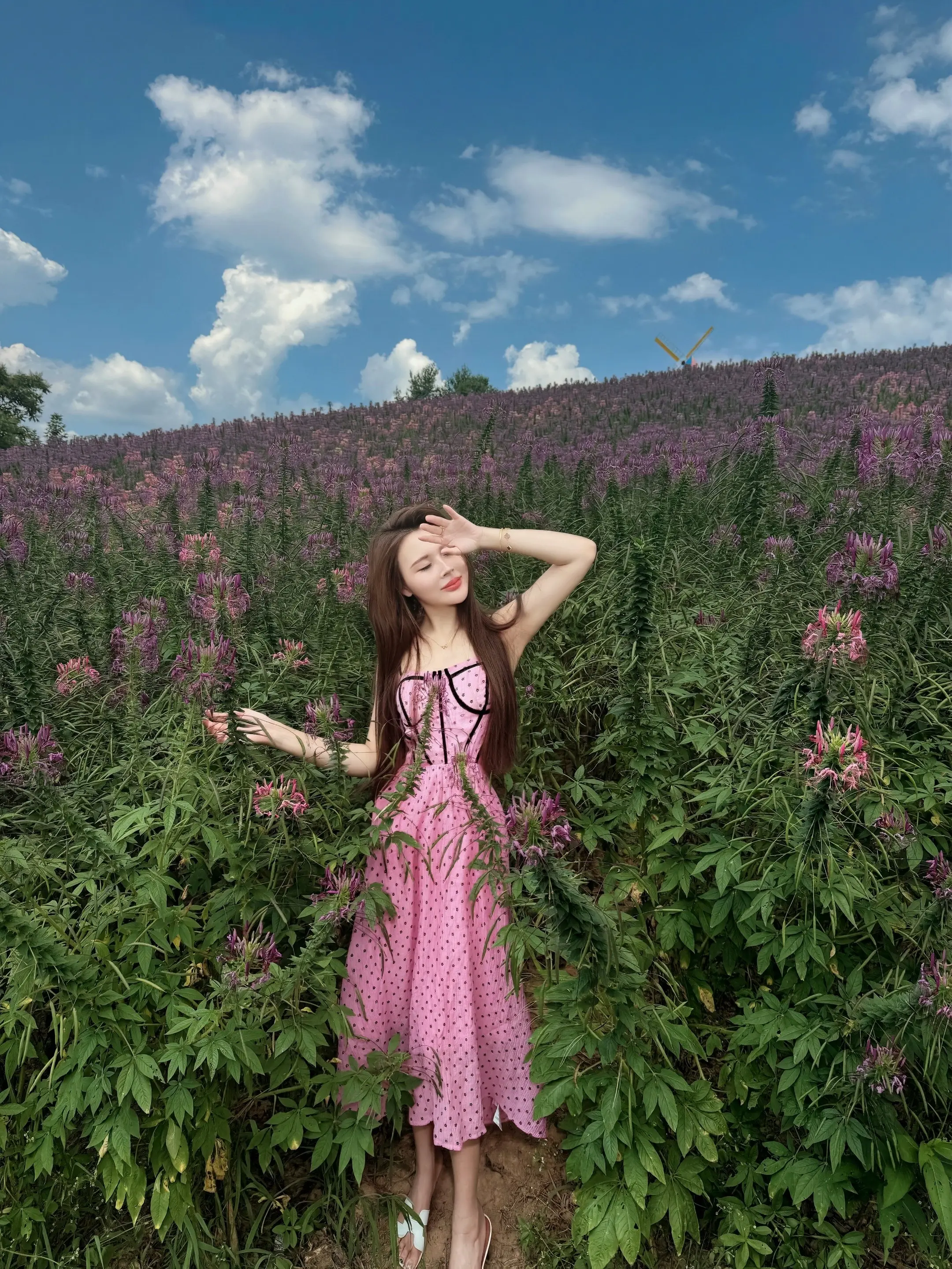 看到别人幸福的时候自己也会掉眼泪不为别的总觉得这一路走来的那么坎坷我也该幸福的