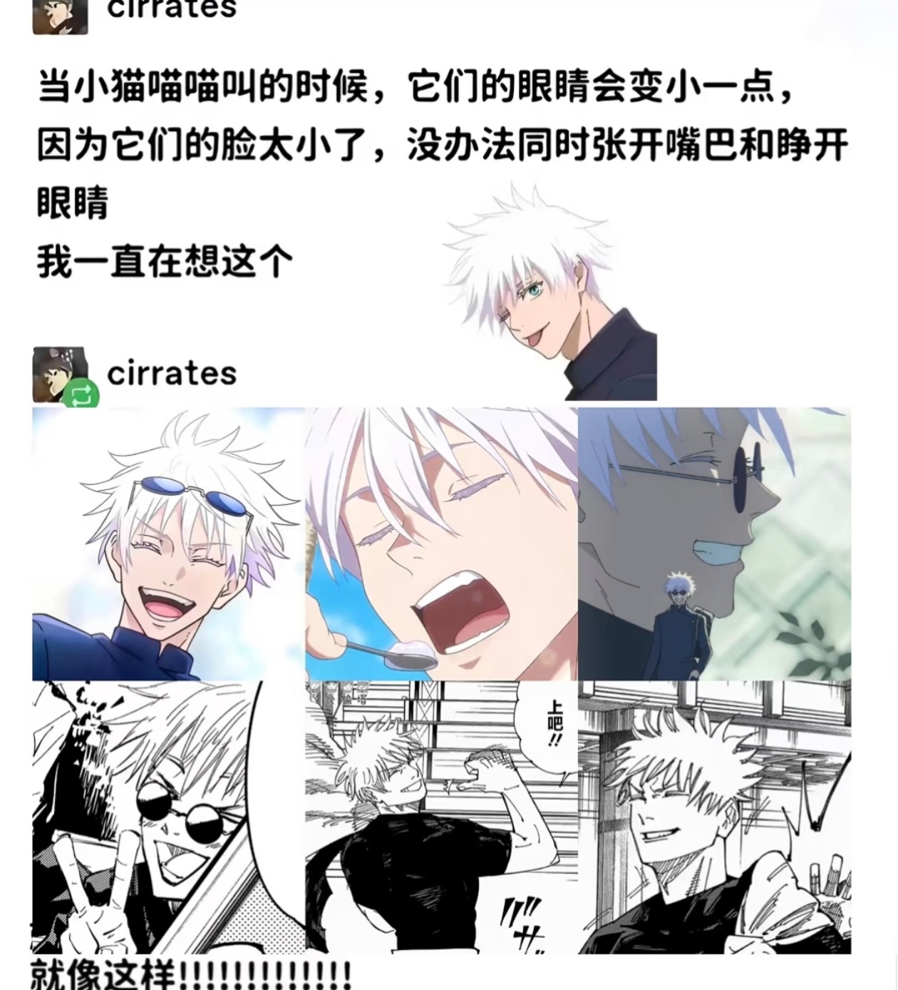 五条悟当小猫喵喵叫的时候，它们的眼睛会变小一点 