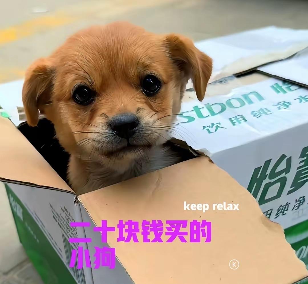 终究走到了这一步！走散的那个人 都走到这一步了 他用谎言骗走的十万块钱，永远不会