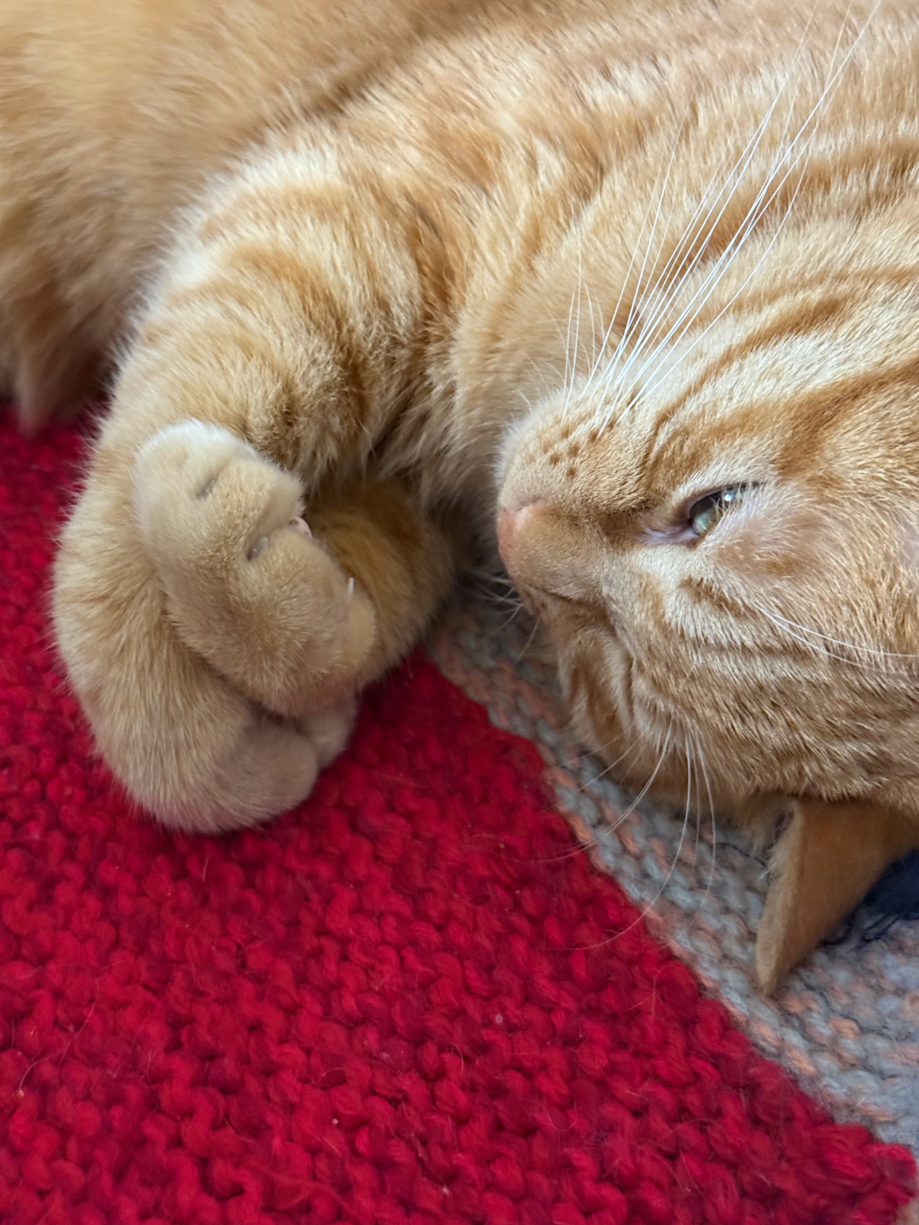 无处安放的小手 