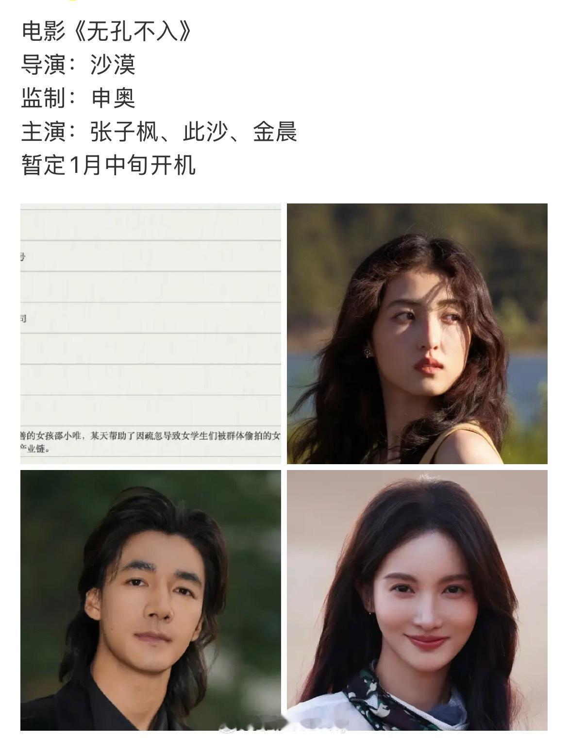🍉电影《无孔不入》导演：沙漠监制：申奥主演：张子枫、此沙、金晨暂定1月中旬开机