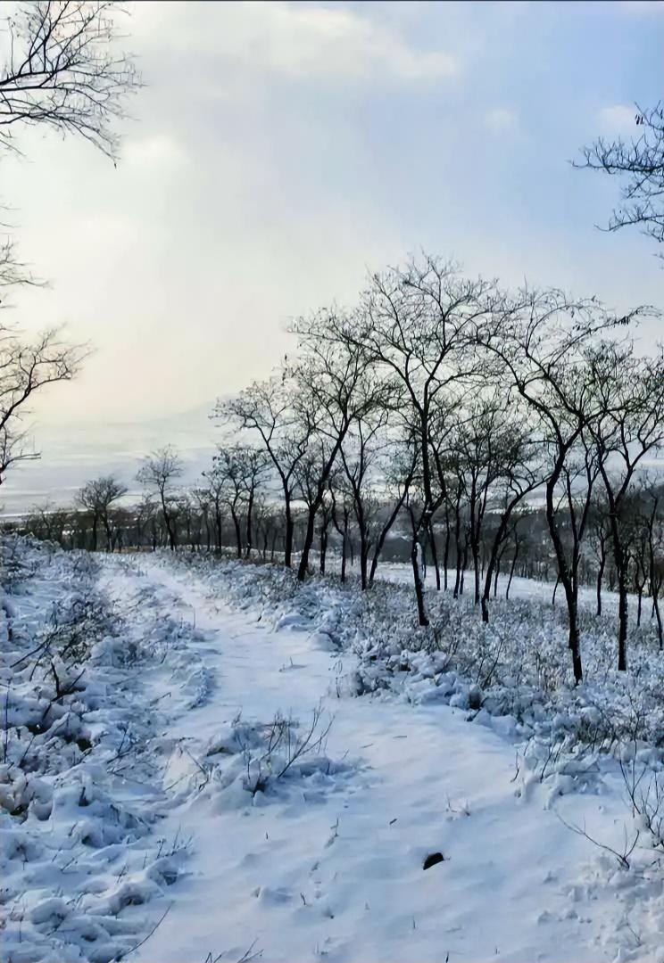 风骤起，叩南窗，
半帘灯影残月光，  
思想儿时旧光景，
泪水盈眼眶。

寒意浓