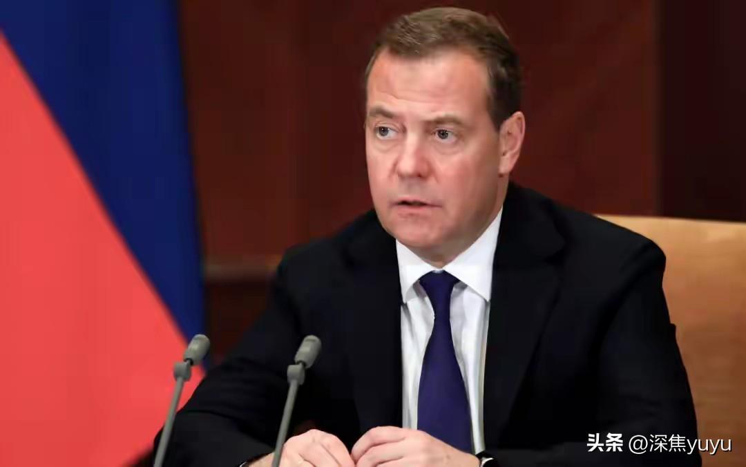 “50岁了还这么蠢！”俄罗斯联邦安全会议副主席梅德韦杰夫近日火力全开，直怼欧盟外