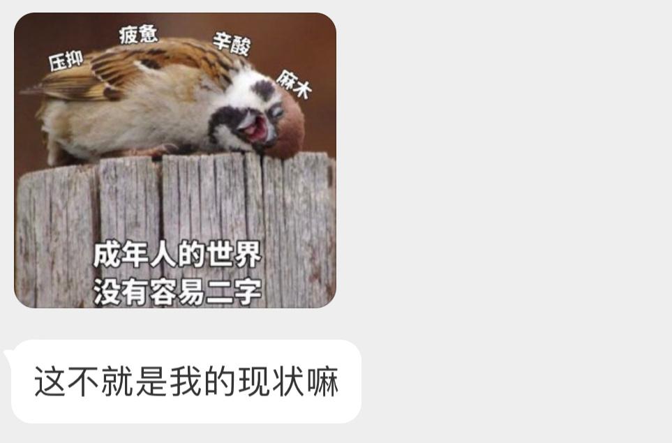 当代年轻人现状🙊 ​​​