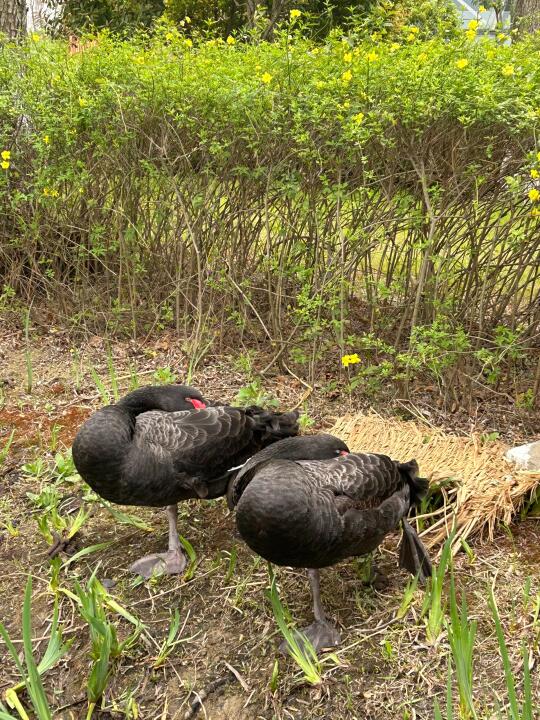 推荐2025经管类重要研究选题暨会议（3）