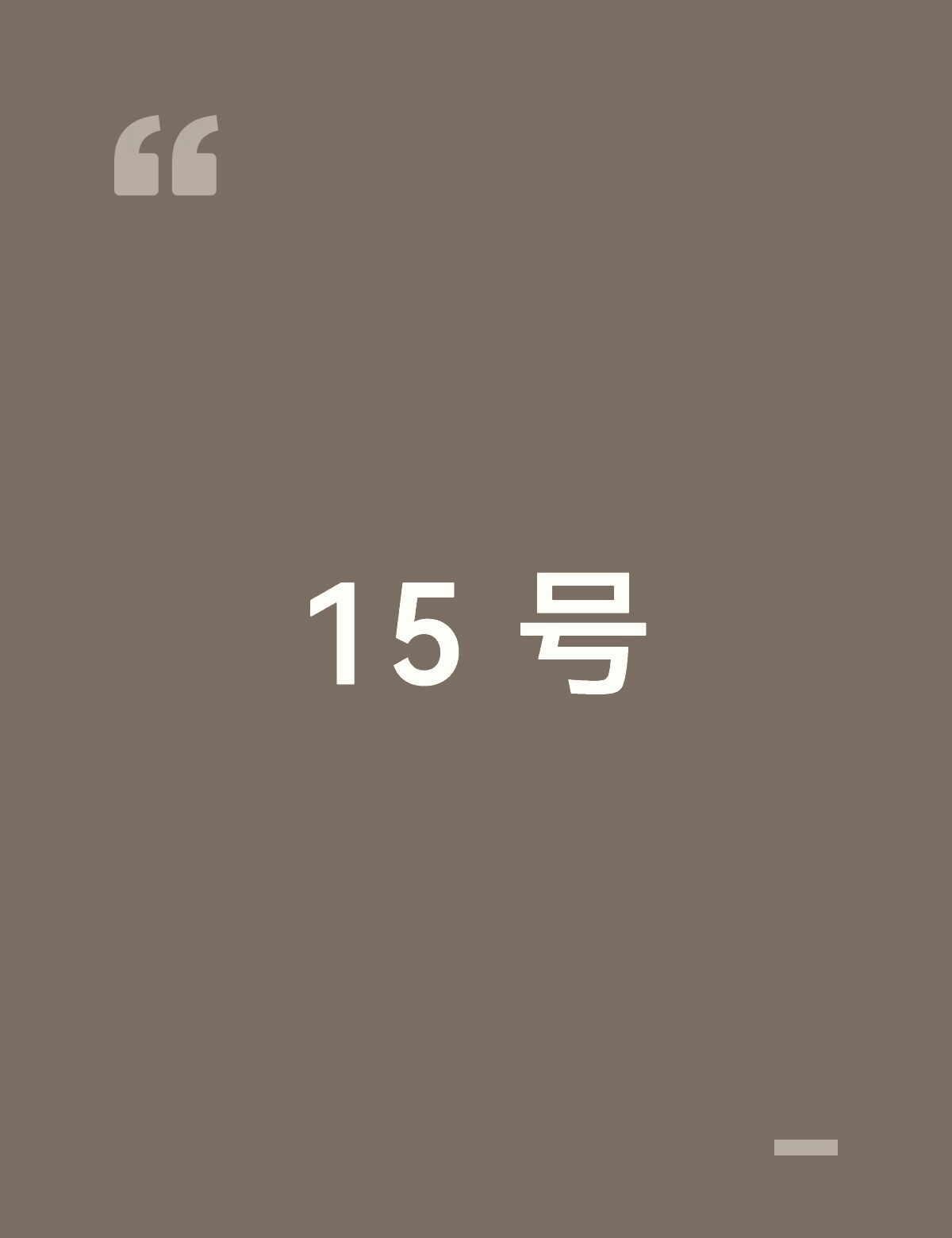 15 号