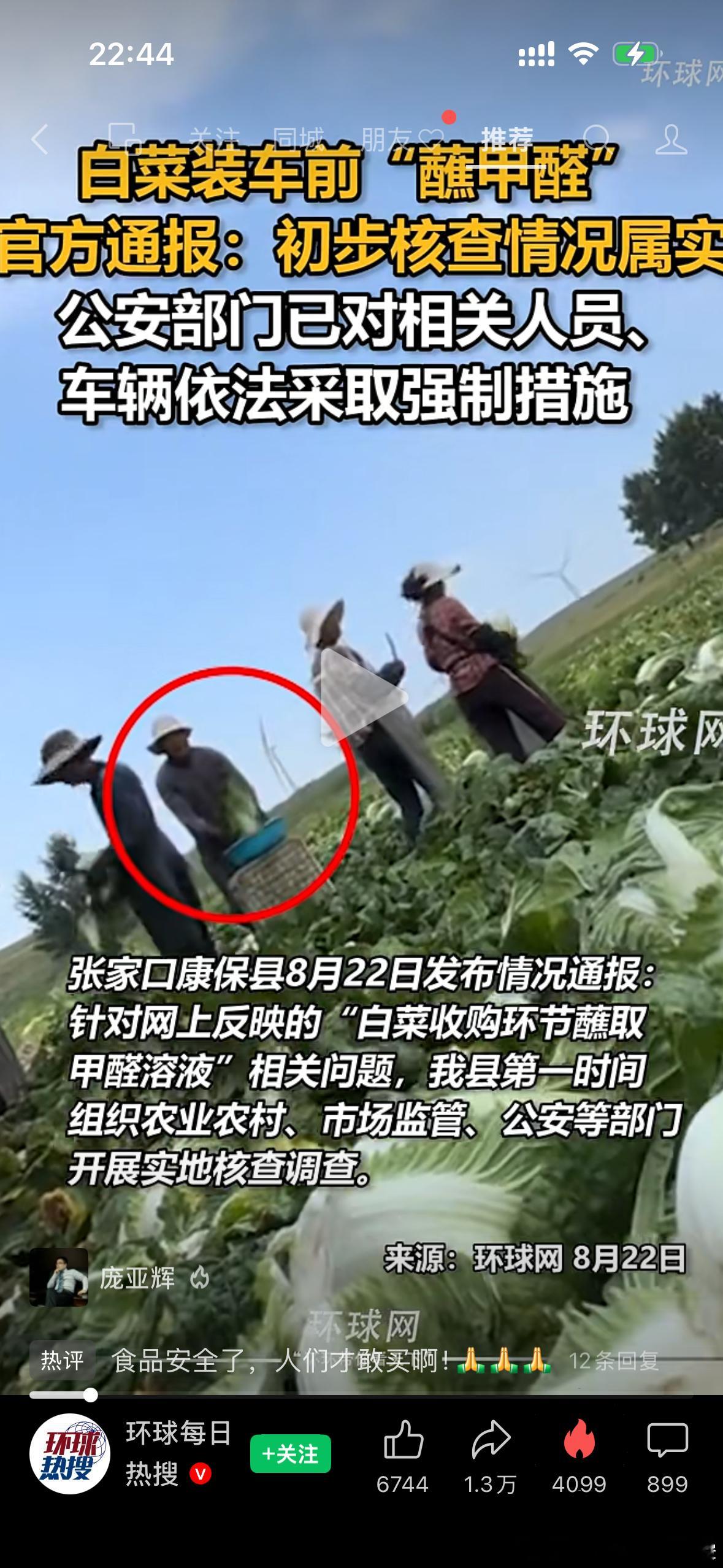 白菜蘸甲醛 白菜装车前“蘸甲醛”，官方通报：初步核查情况属实，公安部门已对相关人