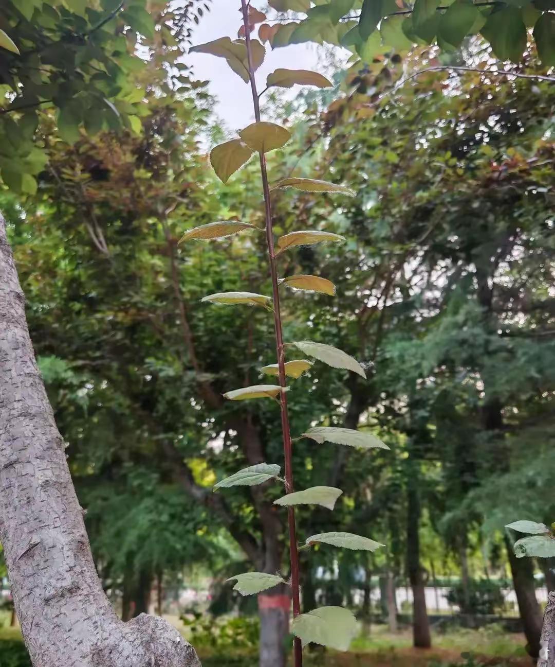 男人别把“不沾黄赌”“不乱来”当成多大的本事，这些只是最基本的做人规矩，不值得拿