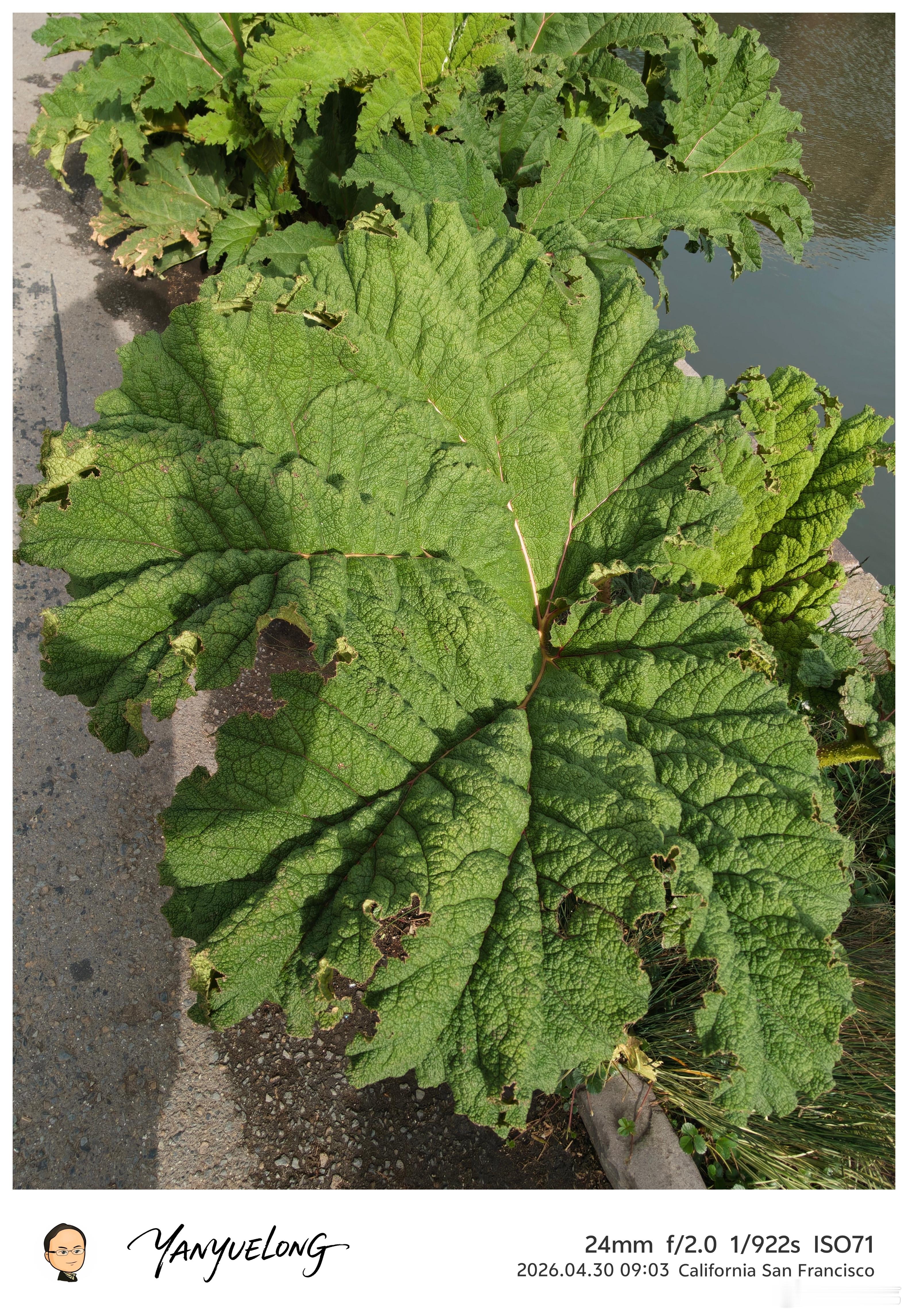 今天是追觅硅谷发布周的最后一天，科学家论坛，加州大学伯克利分校、斯坦福大学和NA