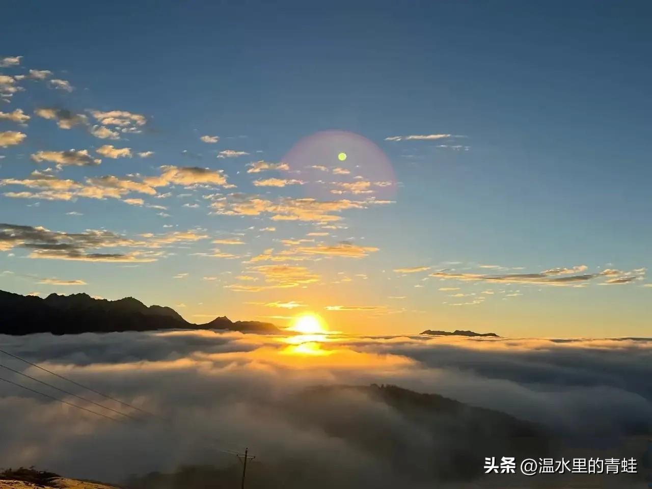文科生择校：财经类和政法类大学，哪个性价比更高？
 
文科生选行业特色院校，财经