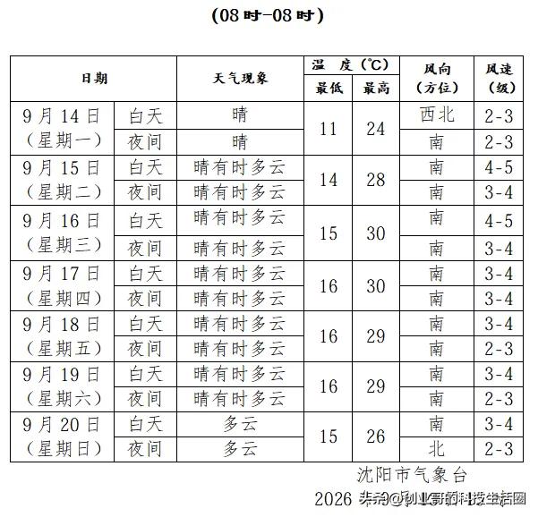 沈阳最宜人的天气是什么时候？正是眼下这段时节。

每年九十月间，初秋悄然来临，沈