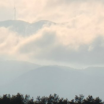 阳光信用 💜阳光信用💜每日一善你走过的路，会成为回忆里的风景；你所有经历，会