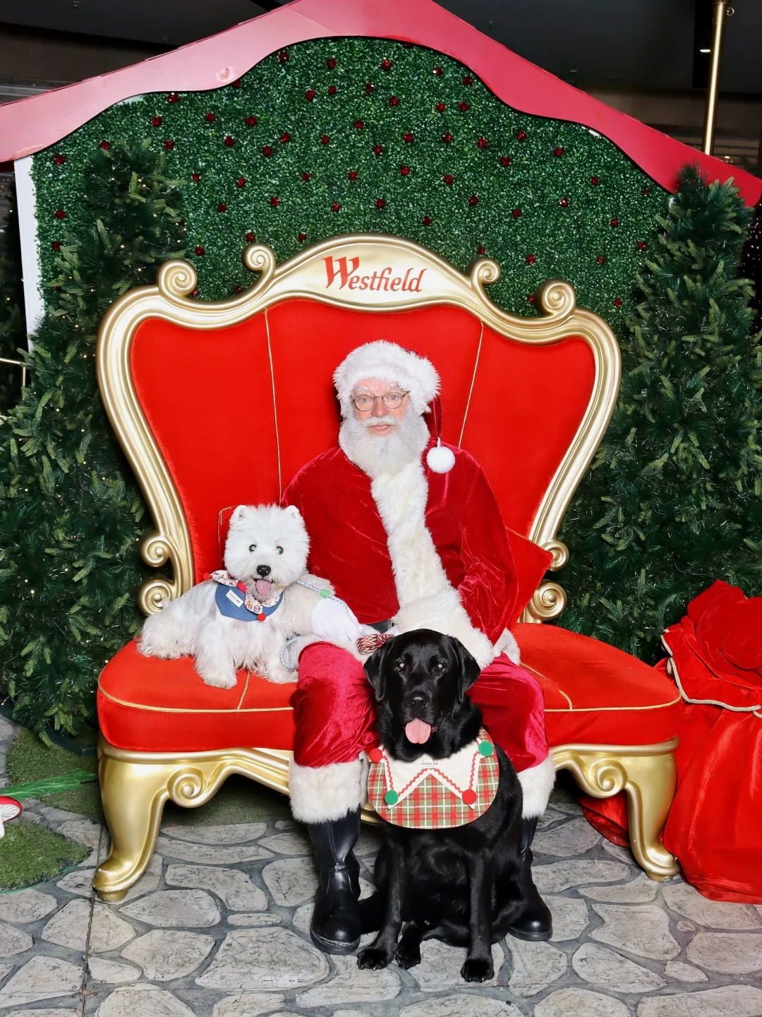 又去见圣诞老爷爷咯