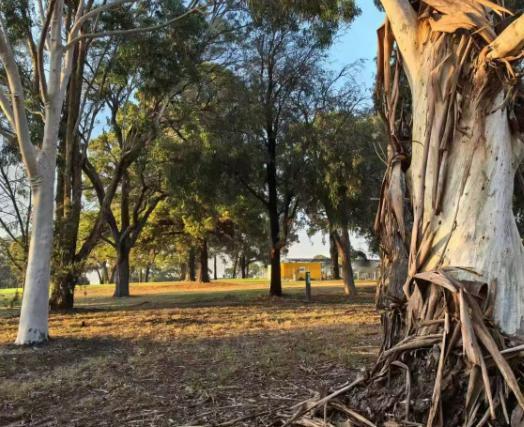 对伊朗，美国为何只敢龇牙，不敢下嘴？原因就在于，伊朗国内大锄奸，把美国安插的眼线