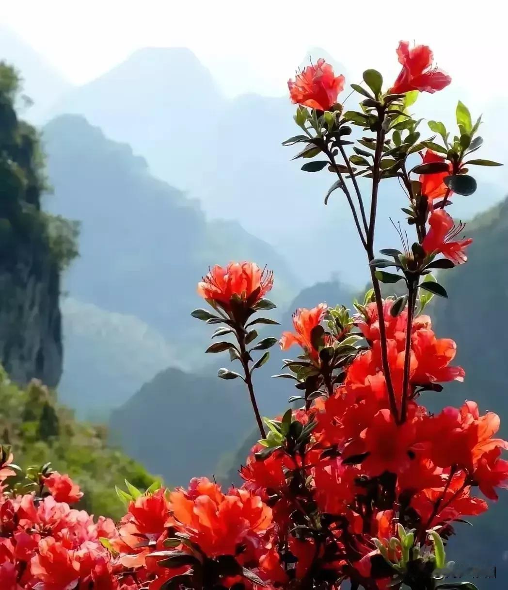 《浣溪沙·马年自守》

丙午流年任西东，
半藏半隐笑尘踪。
何须奔走趁尘风。
