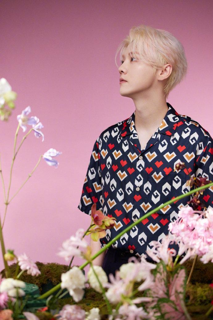 鹿晗 红包确实是真的，我得到了1分钱好开心 