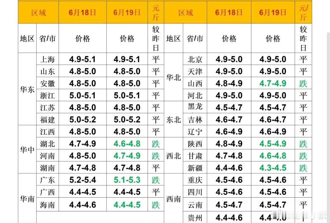 每日猪价 