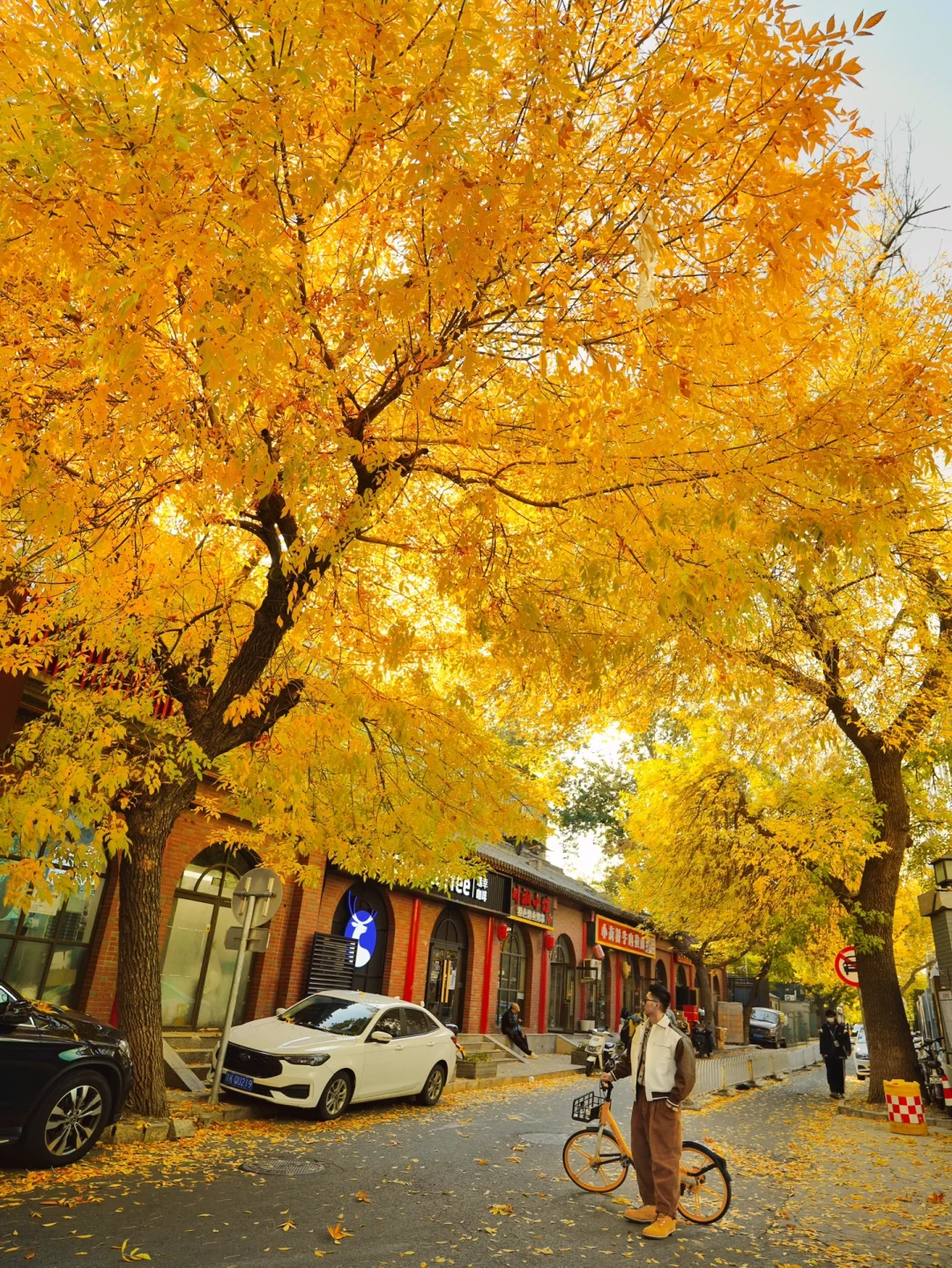 下个月就立秋了…今年别再错过北平的秋天🍂
