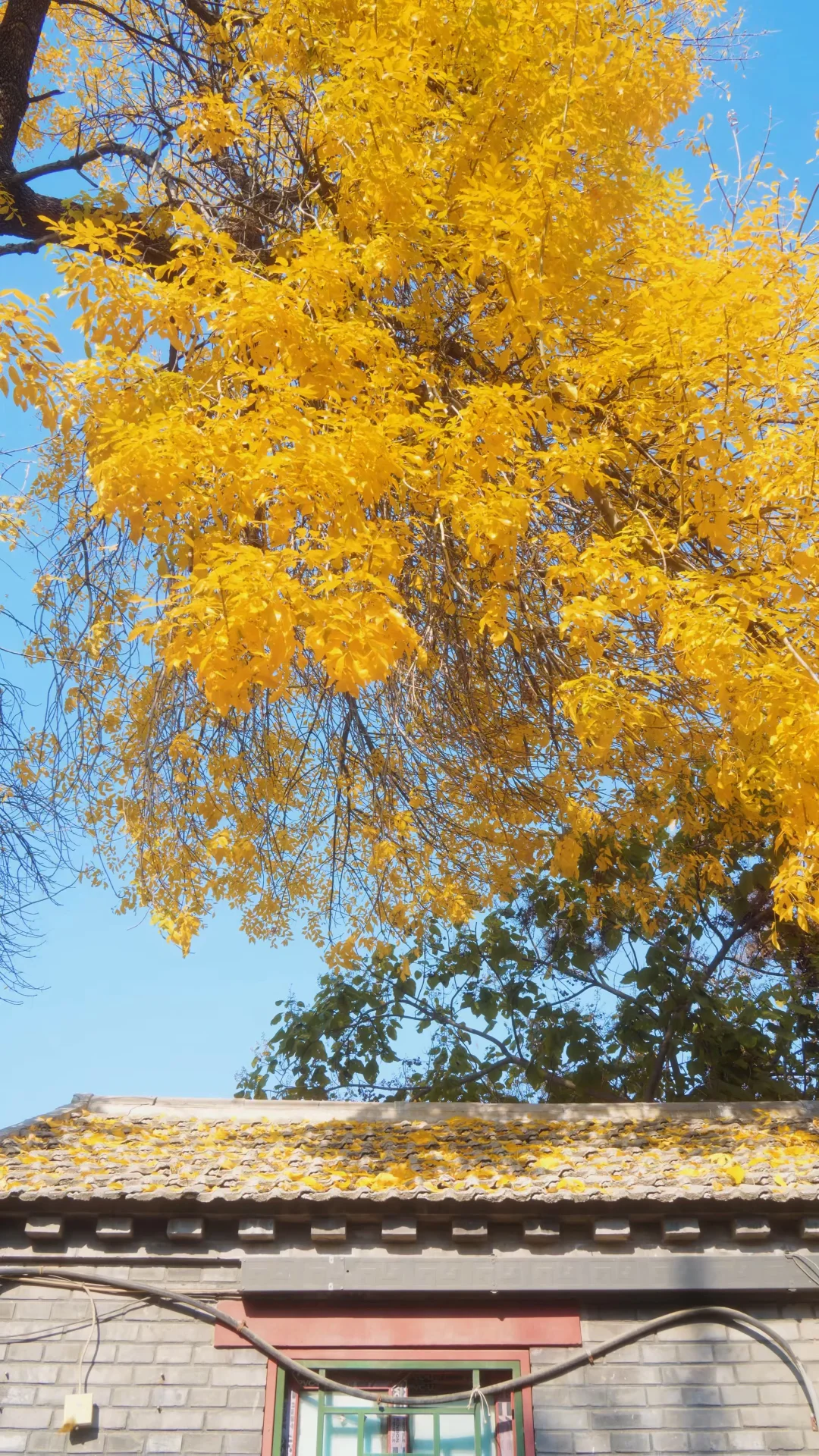 这种场景应该只在梦里出现过吧～（Live实拍）