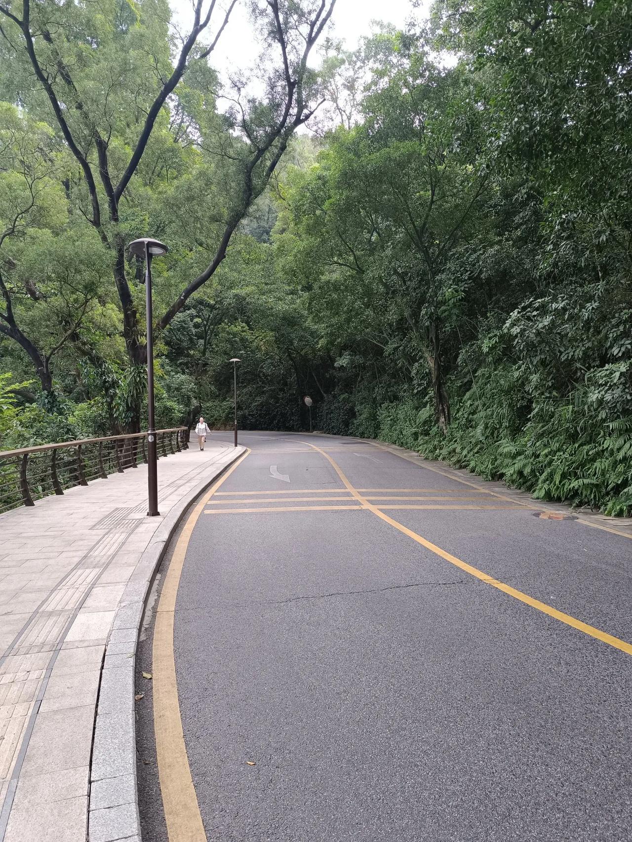  
行进林间小路，
享受宁静时光。
#醉美林荫道#