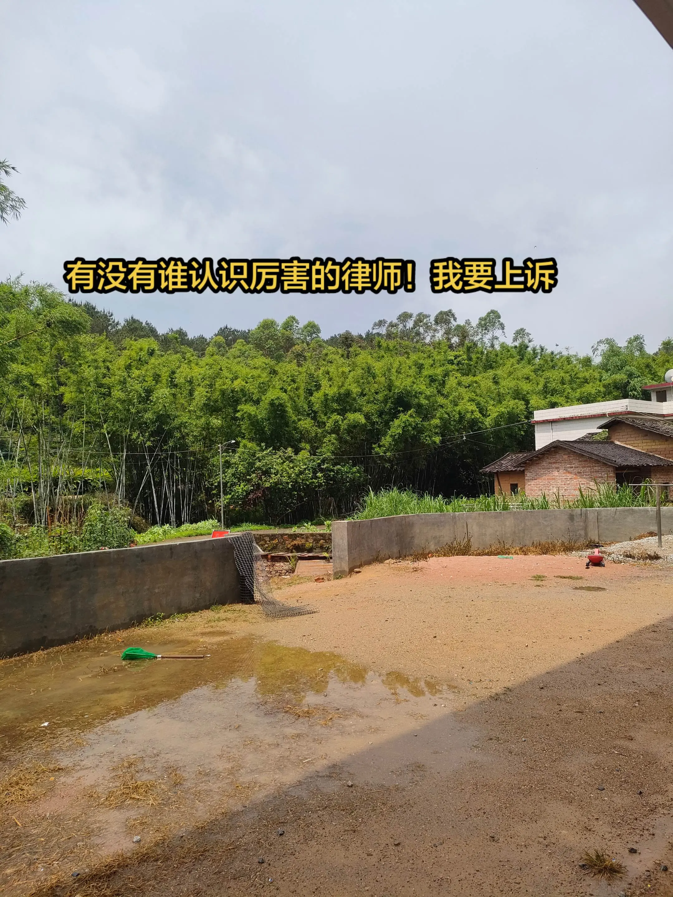 寻找律师