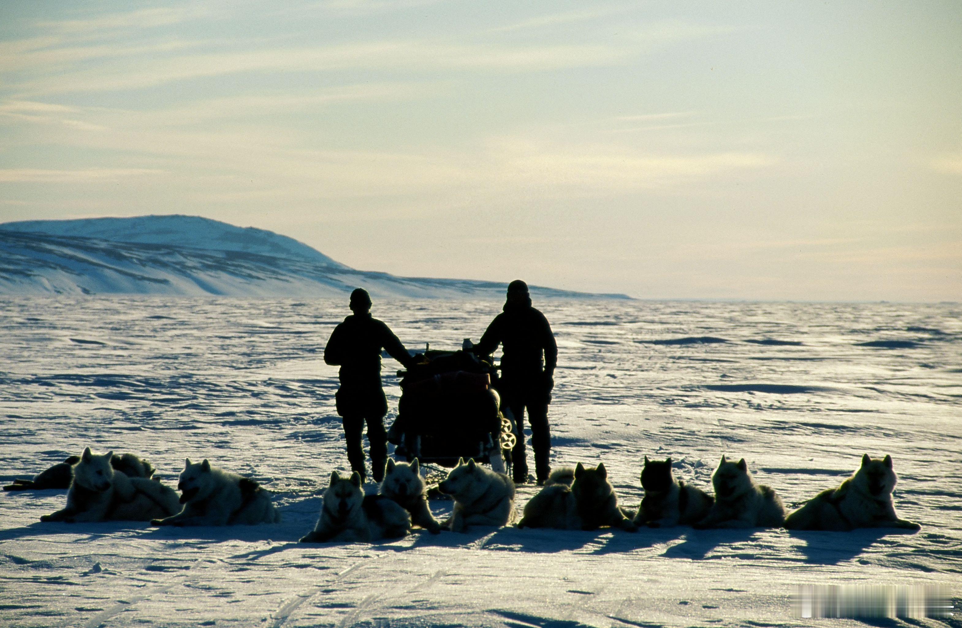 格陵兰岛 （斯德哥尔摩法新电）美国总统特朗普嘲笑丹麦对格陵兰岛的防御只是“两架狗