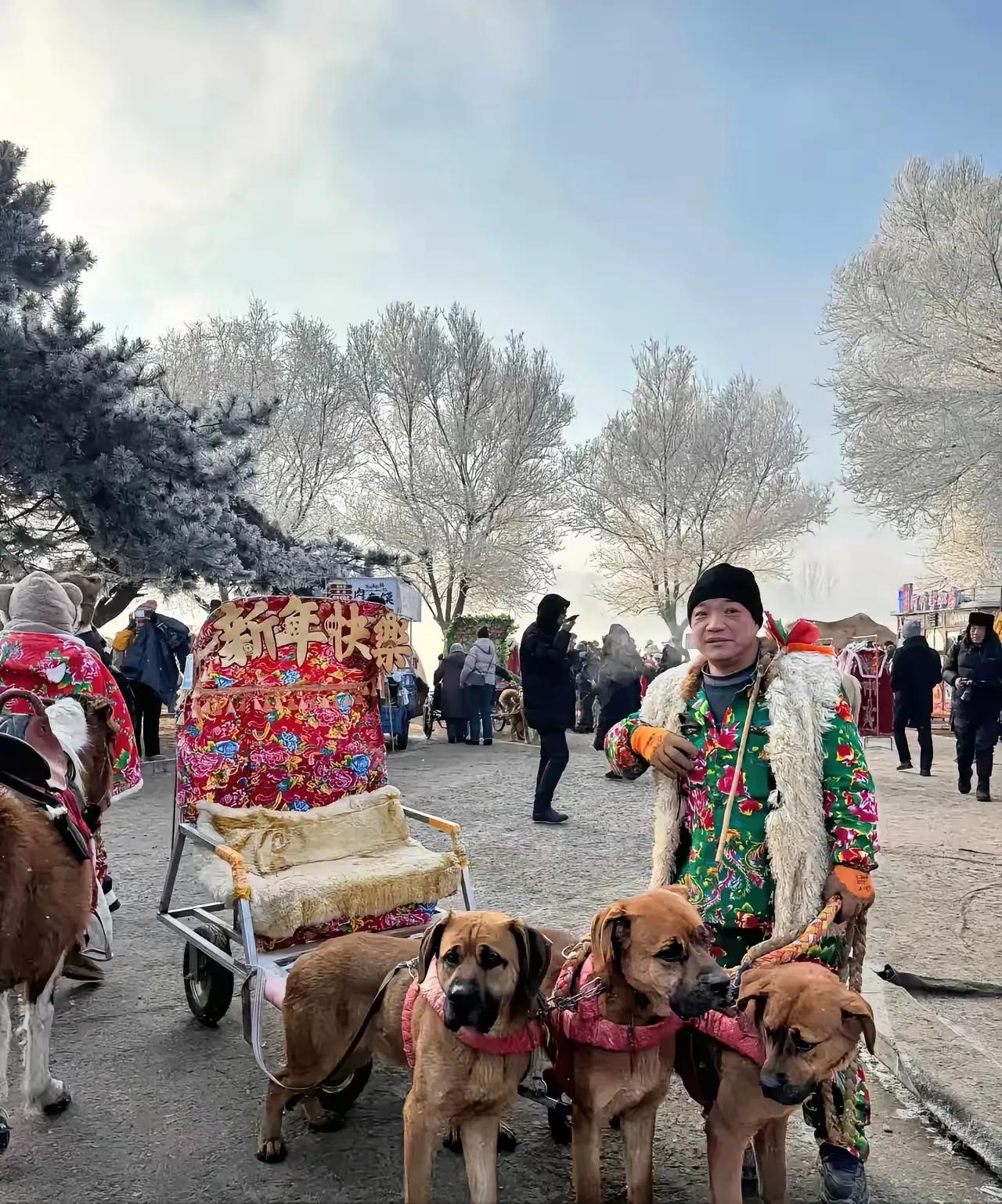 一些人还在纠结狗拉爬犁的钢管在哪里?
为什么一定要认为会有一截钢管伸出来了，这爬