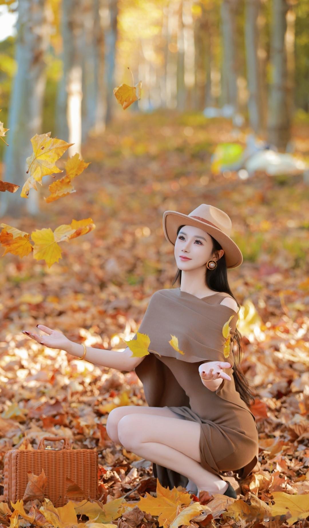 秋日森林中的优雅时光，落叶纷飞，美不胜收。