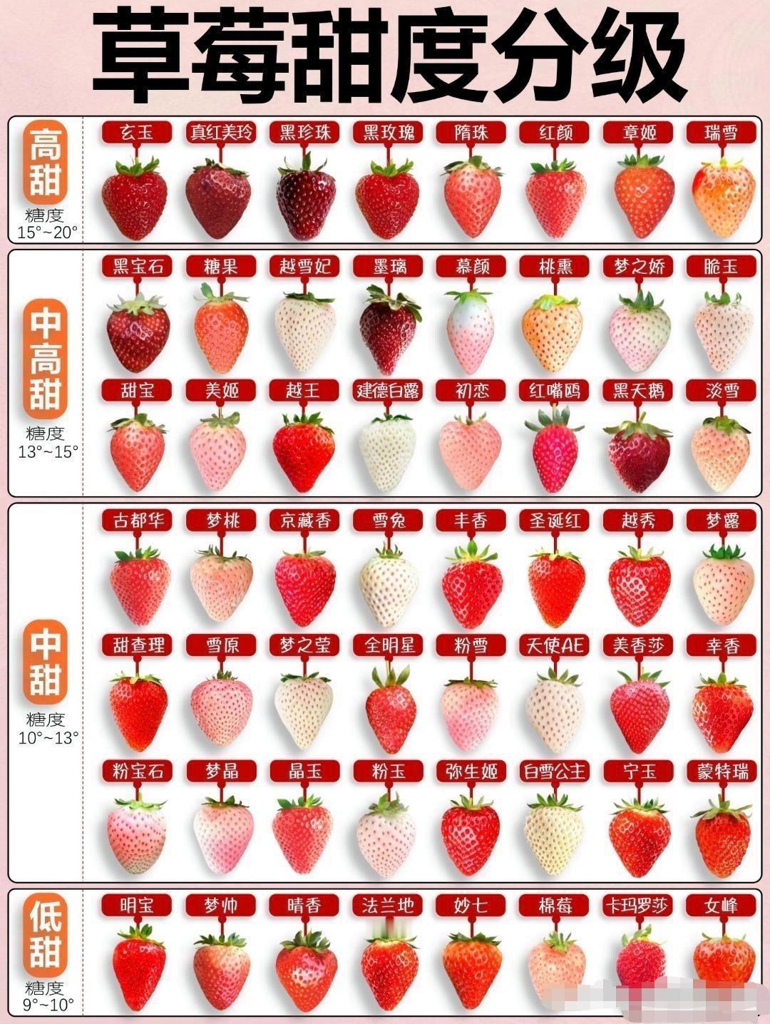 草莓甜度通常以可溶性固形物含量（糖度）为核心分级依据，行业内多分为三级，兼顾口感