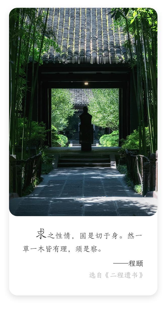 这青瓦巷子可真有味道！两边竹子唰唰地长，叶子绿得发亮，阳光从缝里漏下来，在石板路