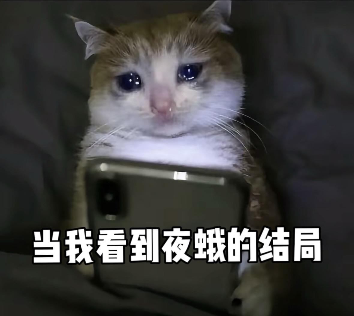 熊猫也是会哭的.