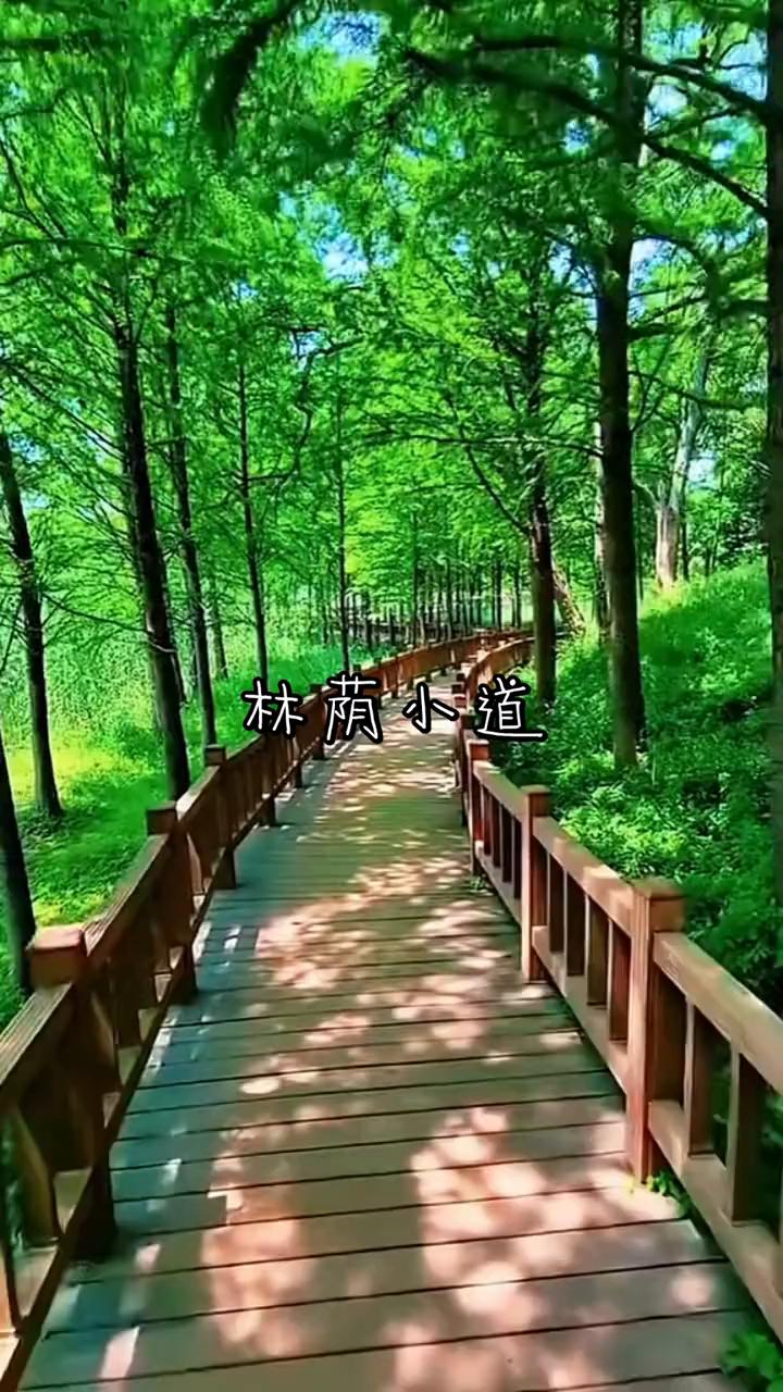 林荫小道。
相思入骨，擦相思人骨你。控制不住的想你，相思入骨，擦相思人骨你。控制