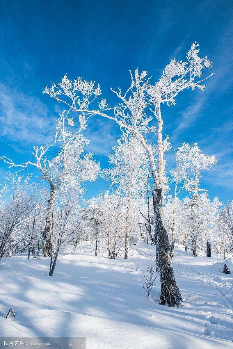 近日，一条关于“哈尔滨”的热搜突然爆炸式飙升，搜索热度暴涨超500%。这不仅仅是