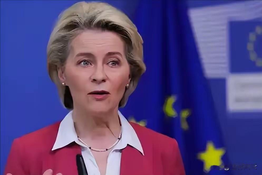 刚对中方狠话说尽，中美就握手言和？欧盟立马变脸，给中国戴高帽 ！
最近中欧这边闹