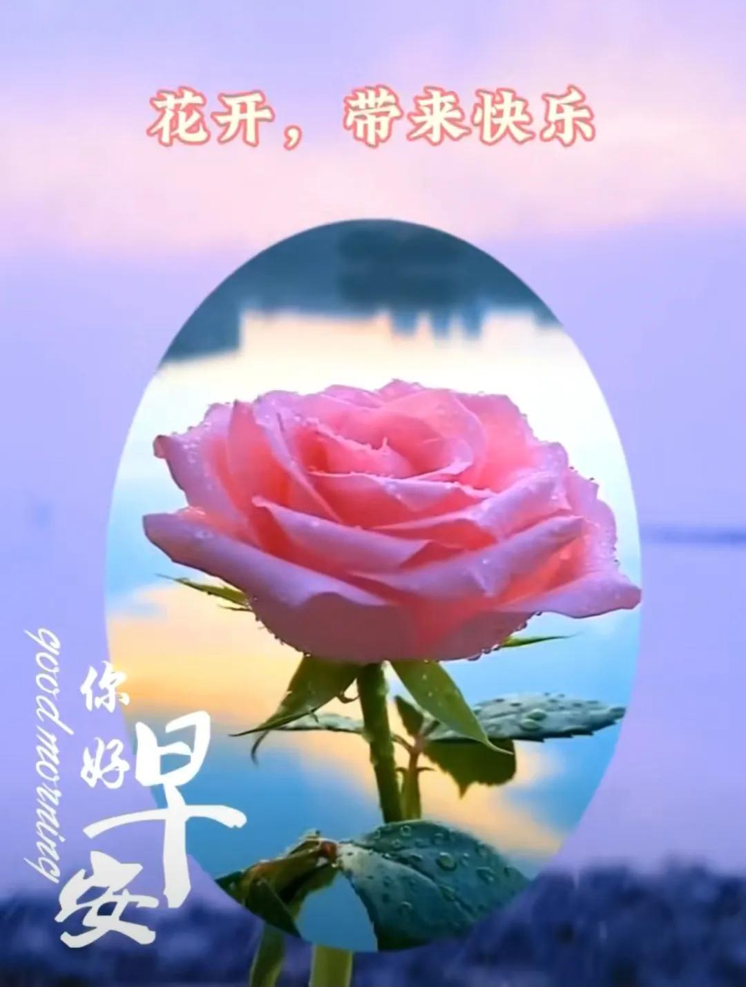 難忘的是友誼，
可貴的是真情，
欣慰的是緣分，
珍貴的是健康，
祝願時光不老，
