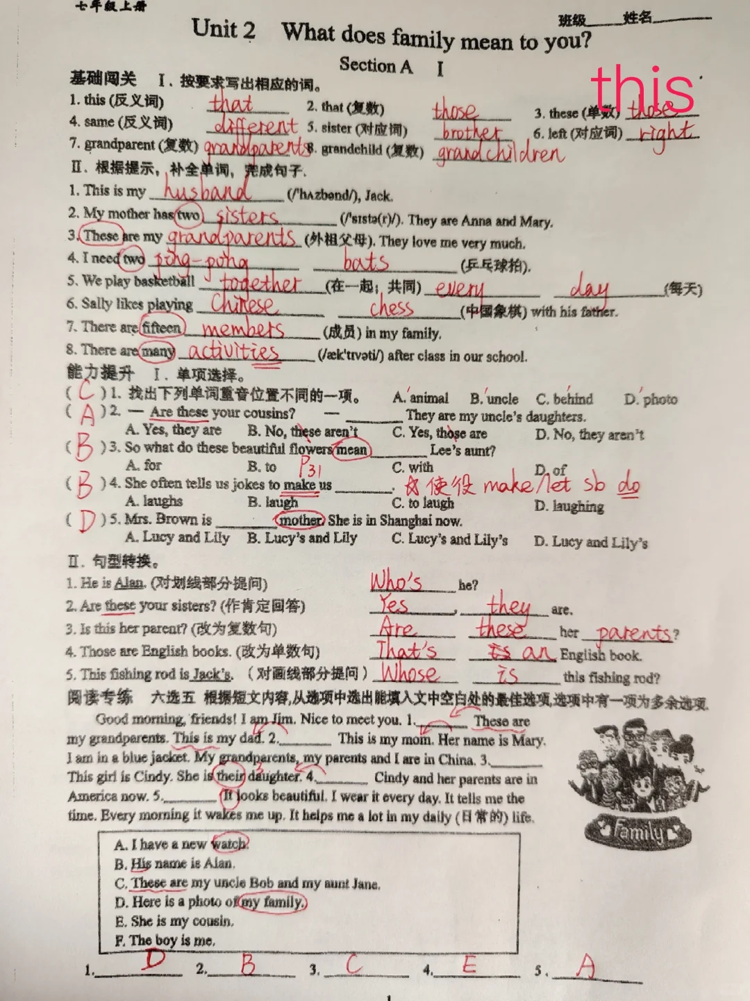 七上新人教版英语｜unit2—sectionA