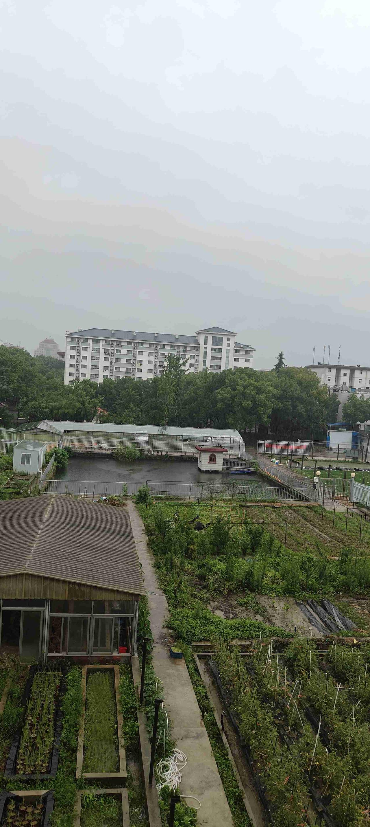 我的今日状态：😁轻松愉快
我这里的天气：🌧下雨