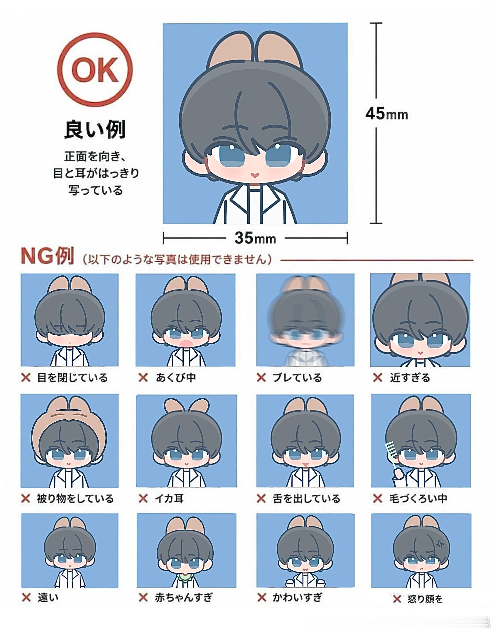 兔の证件照拍摄指南🐰 