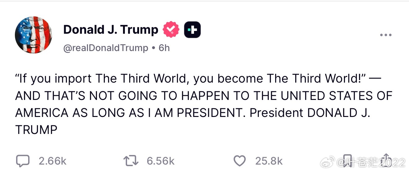 “如果你引入了‘第三世界’，你自己也就变成了‘第三世界’！”——只要我担任总统，