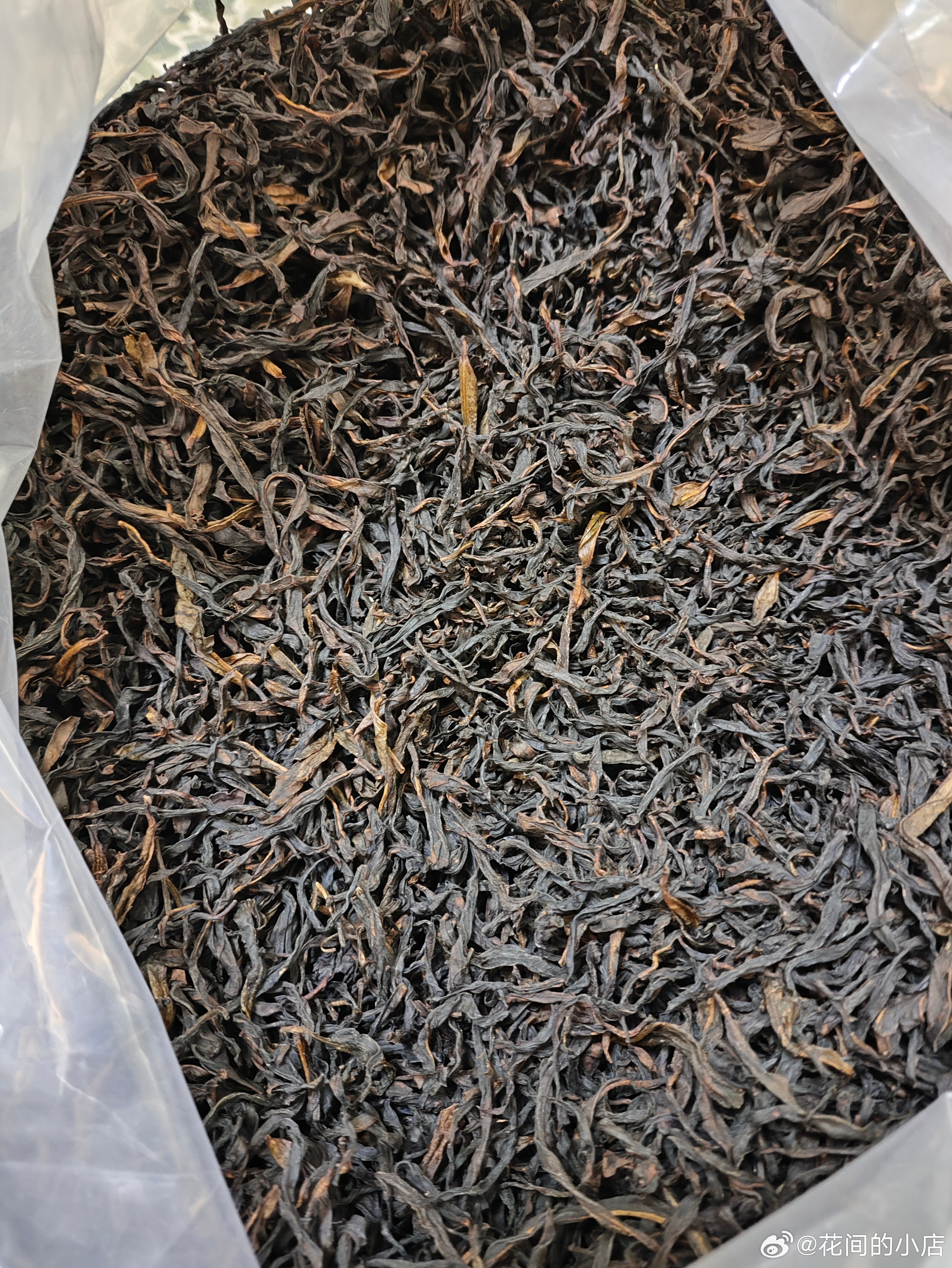 今年的春蜜兰